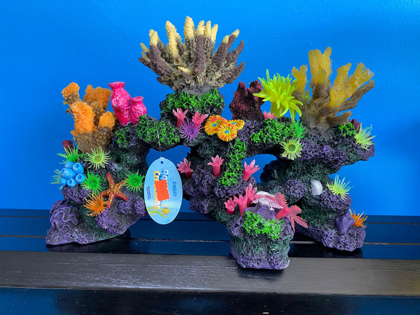 Long Colorful Coral (4 Types)