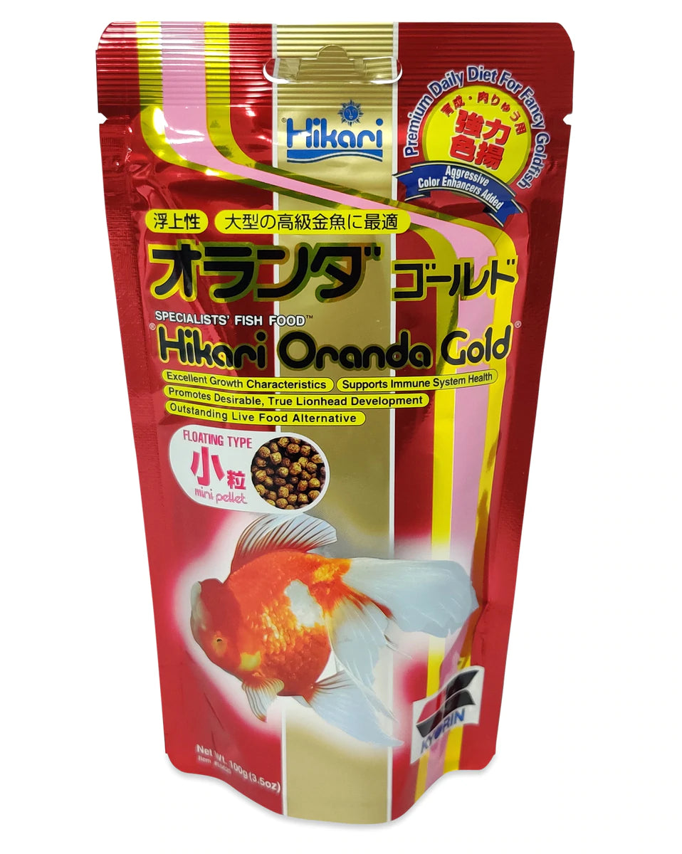 Hikari Oranda Gold