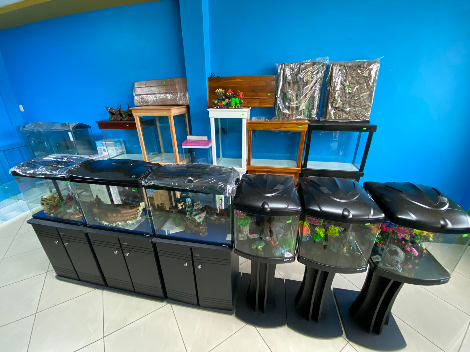 Aquariums Set Ups (Imported and Local)
