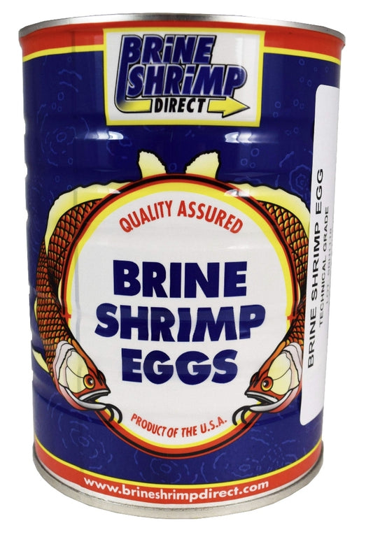 Brine Shrimp 16oz