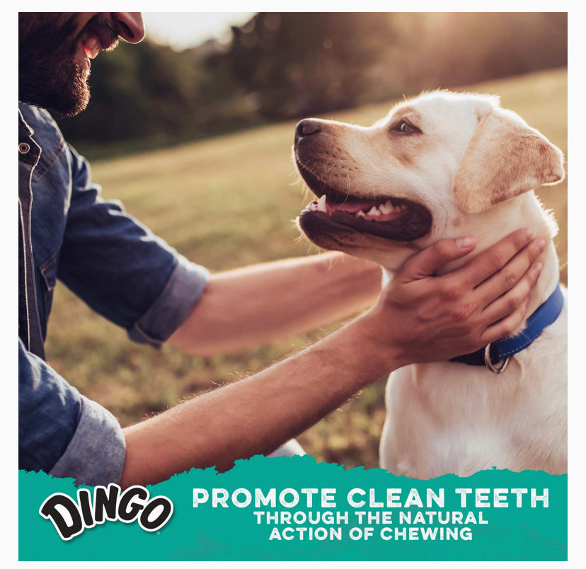 Dingo Dental Sticks