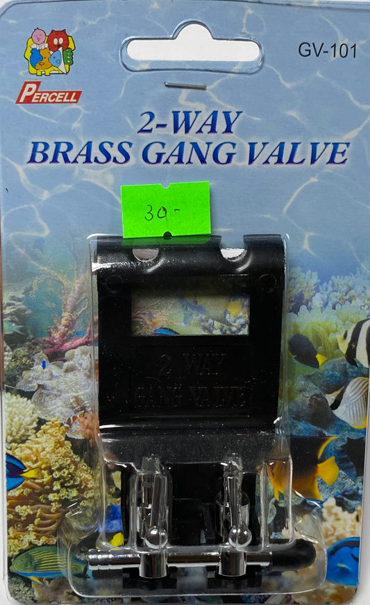 Brass Gang Valves (3 Types)