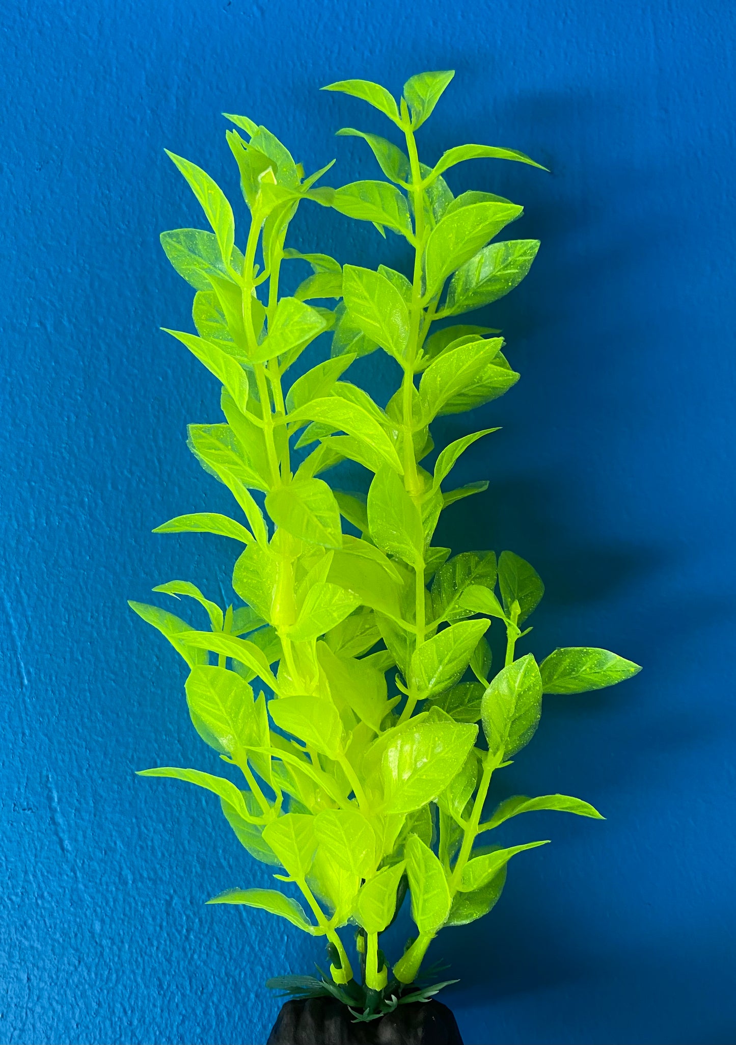 8” Aquarium Plants