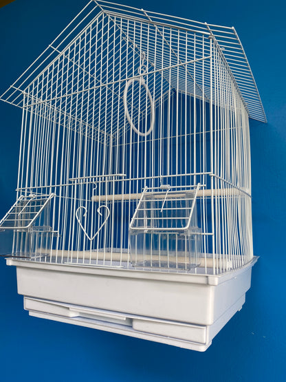 White Bird Cages with Color Base