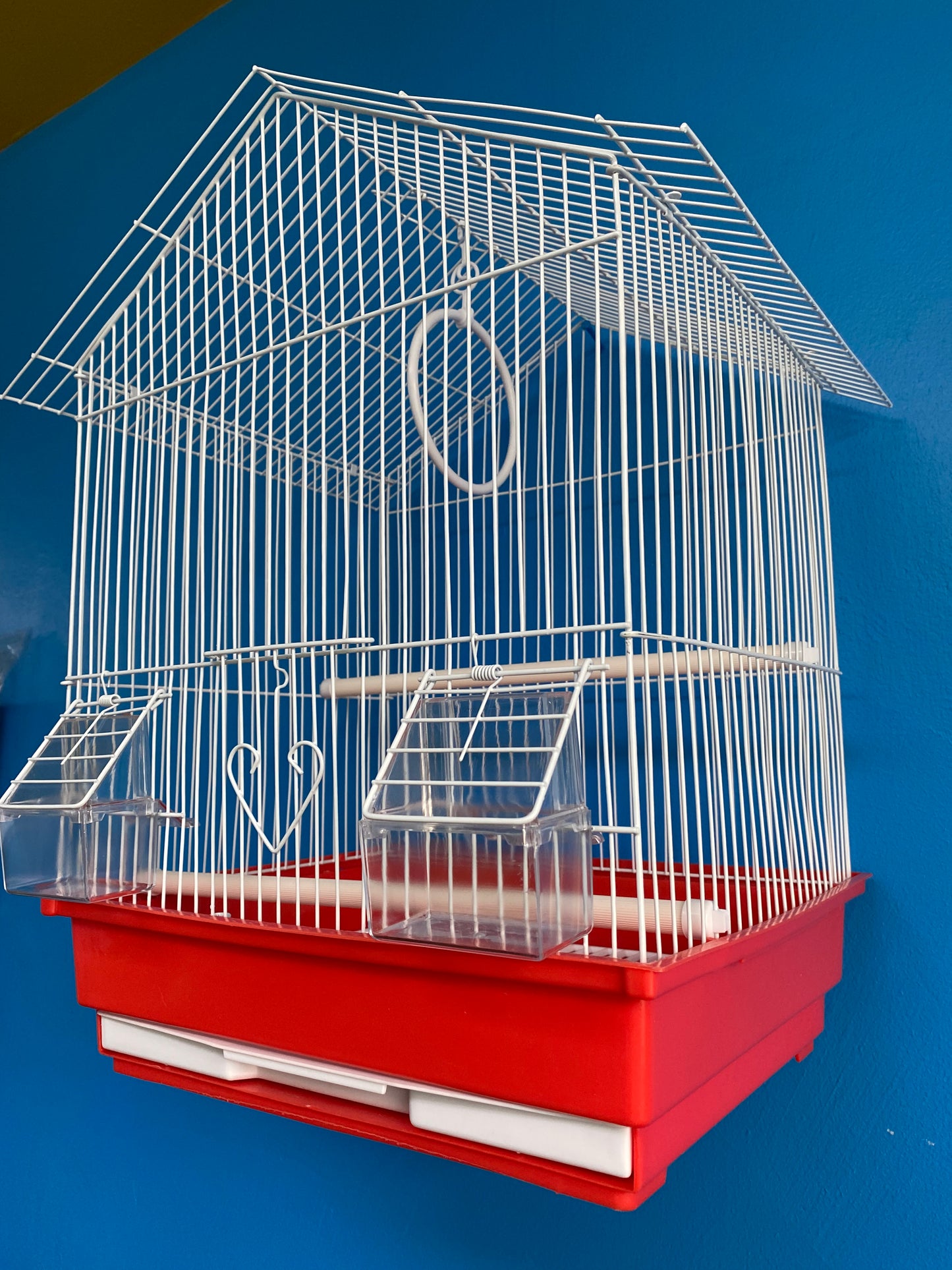 White Bird Cages with Color Base