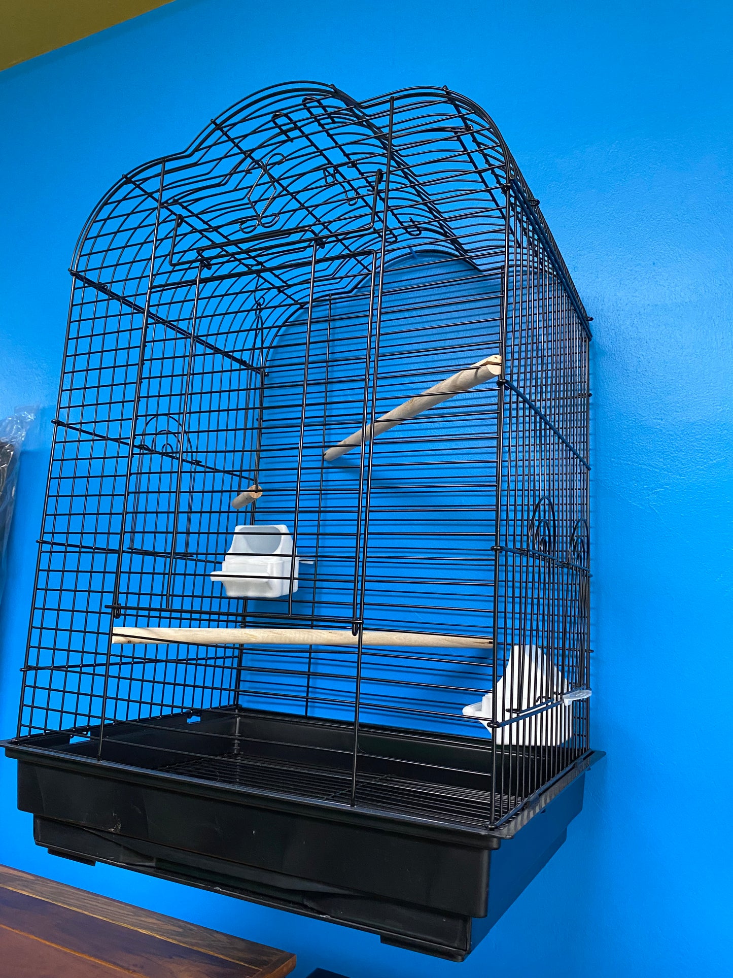 Parrot Cage