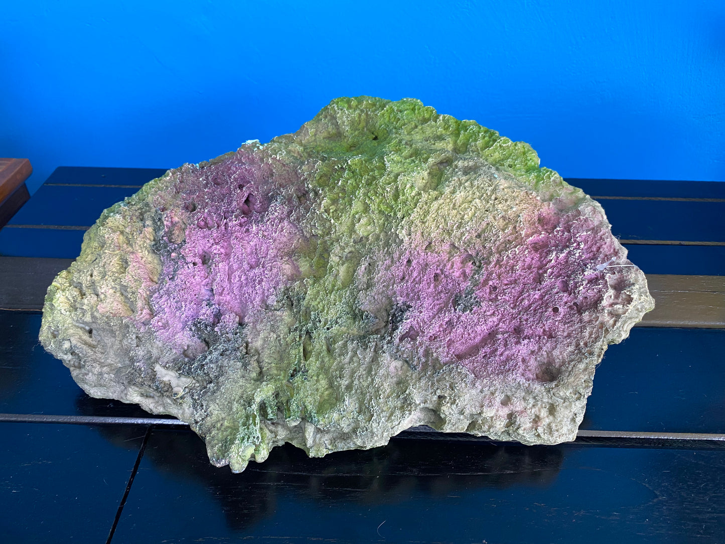 Coral Rock