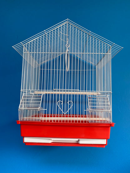 White Bird Cages with Color Base