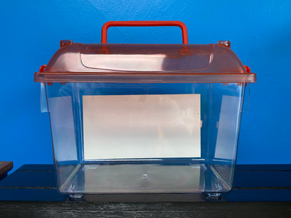 Large Pet Boxes with Transparent Top