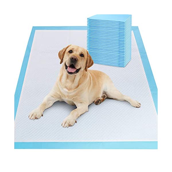 Kirkland dog training outlet pads