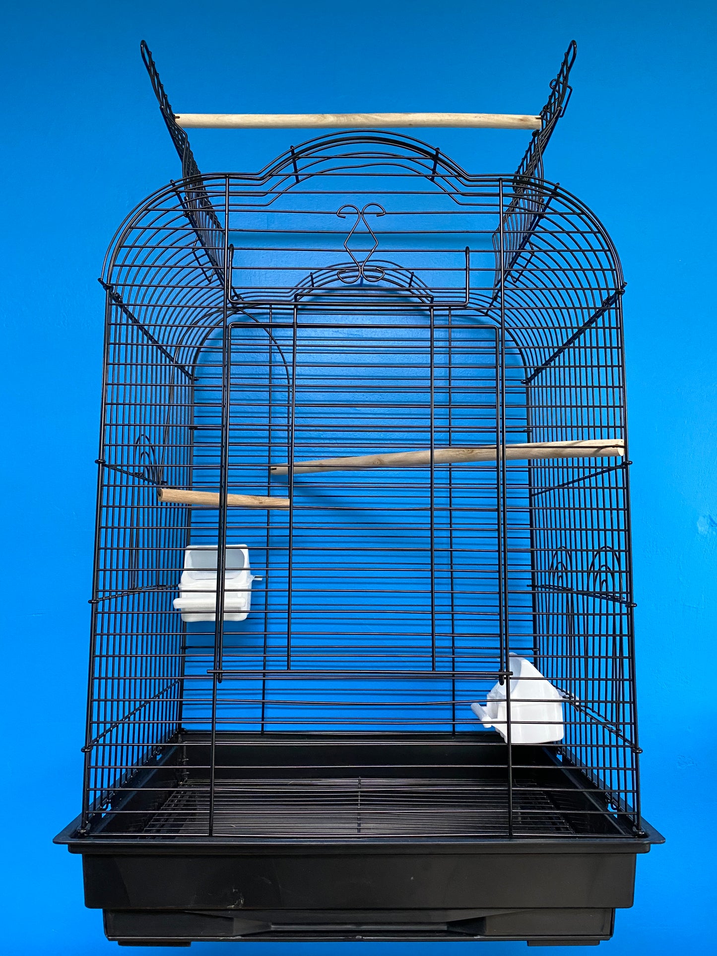 Parrot Cage