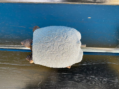 Turtle Air Stone Decoration