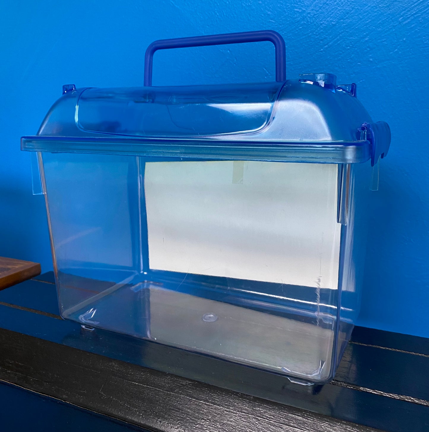 Large Pet Boxes with Transparent Top