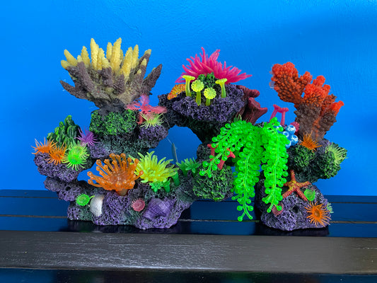 Long Colorful Coral (4 Types)