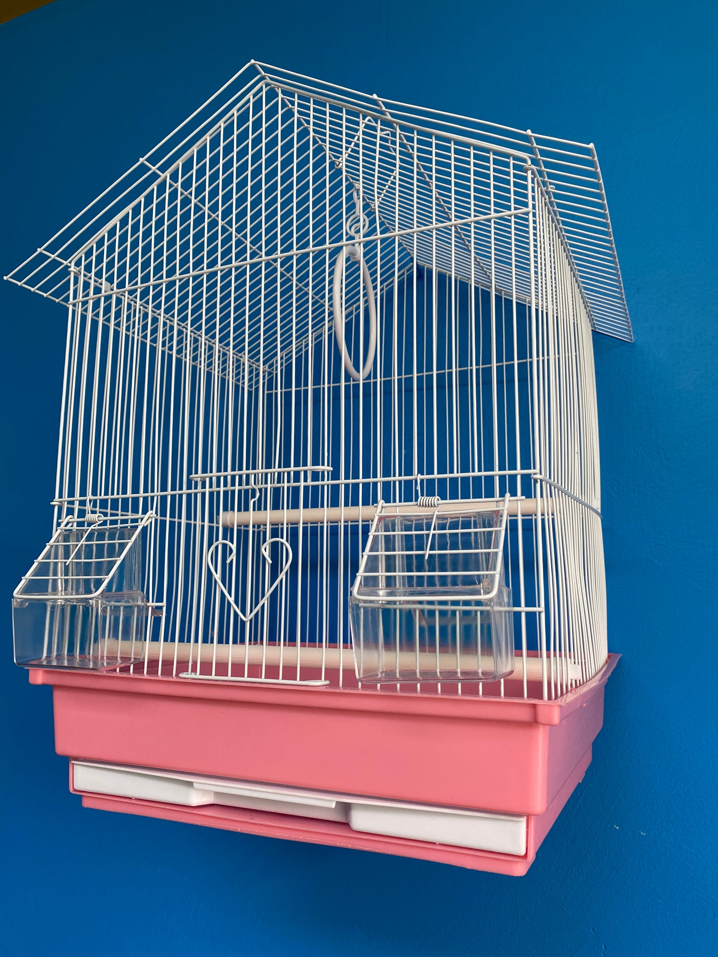 White Bird Cages with Color Base