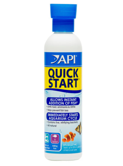 API Quick Start