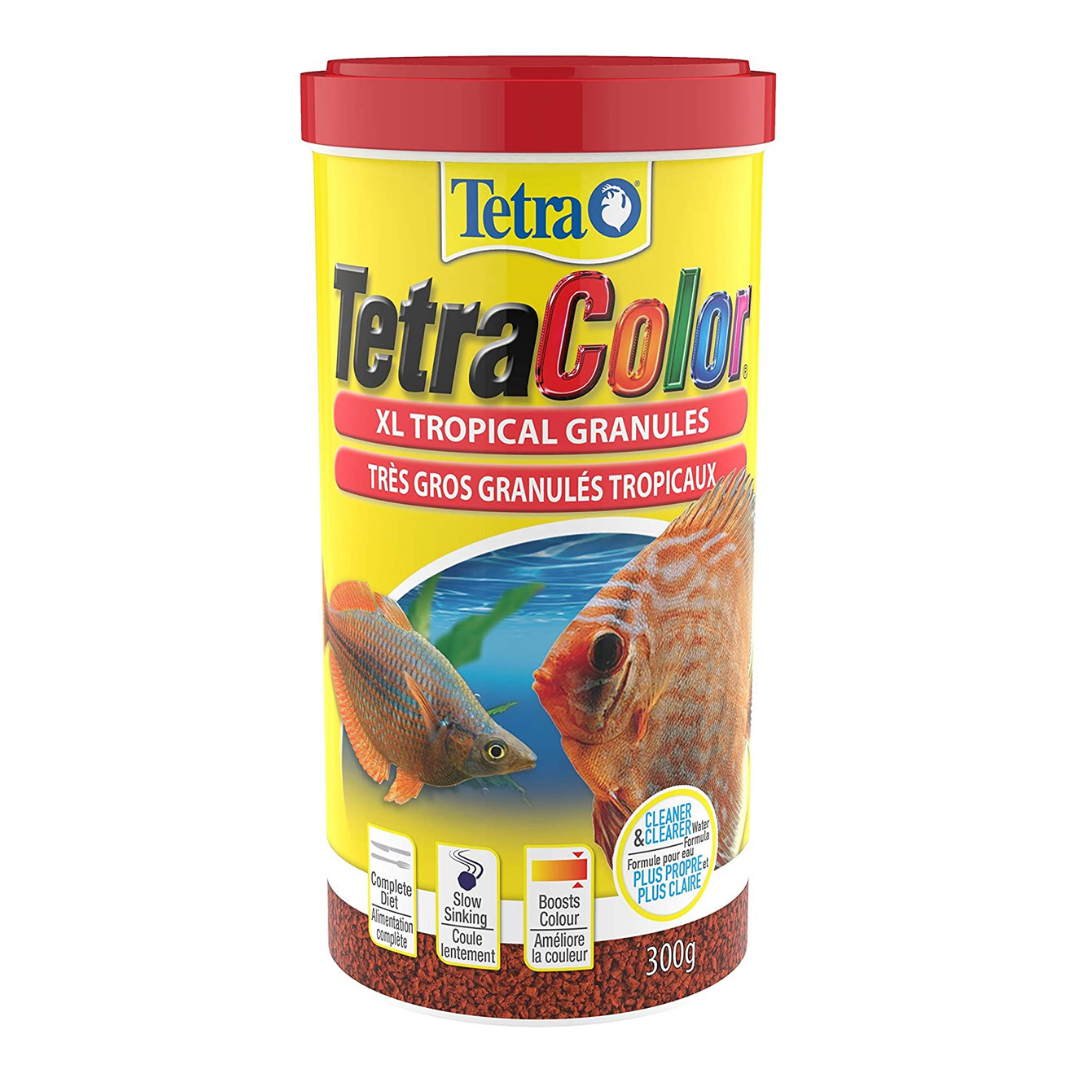 Tetra TetraColor