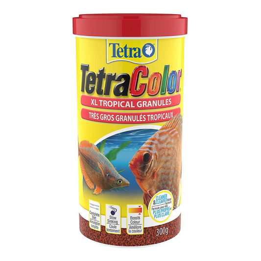 Tetra TetraColor