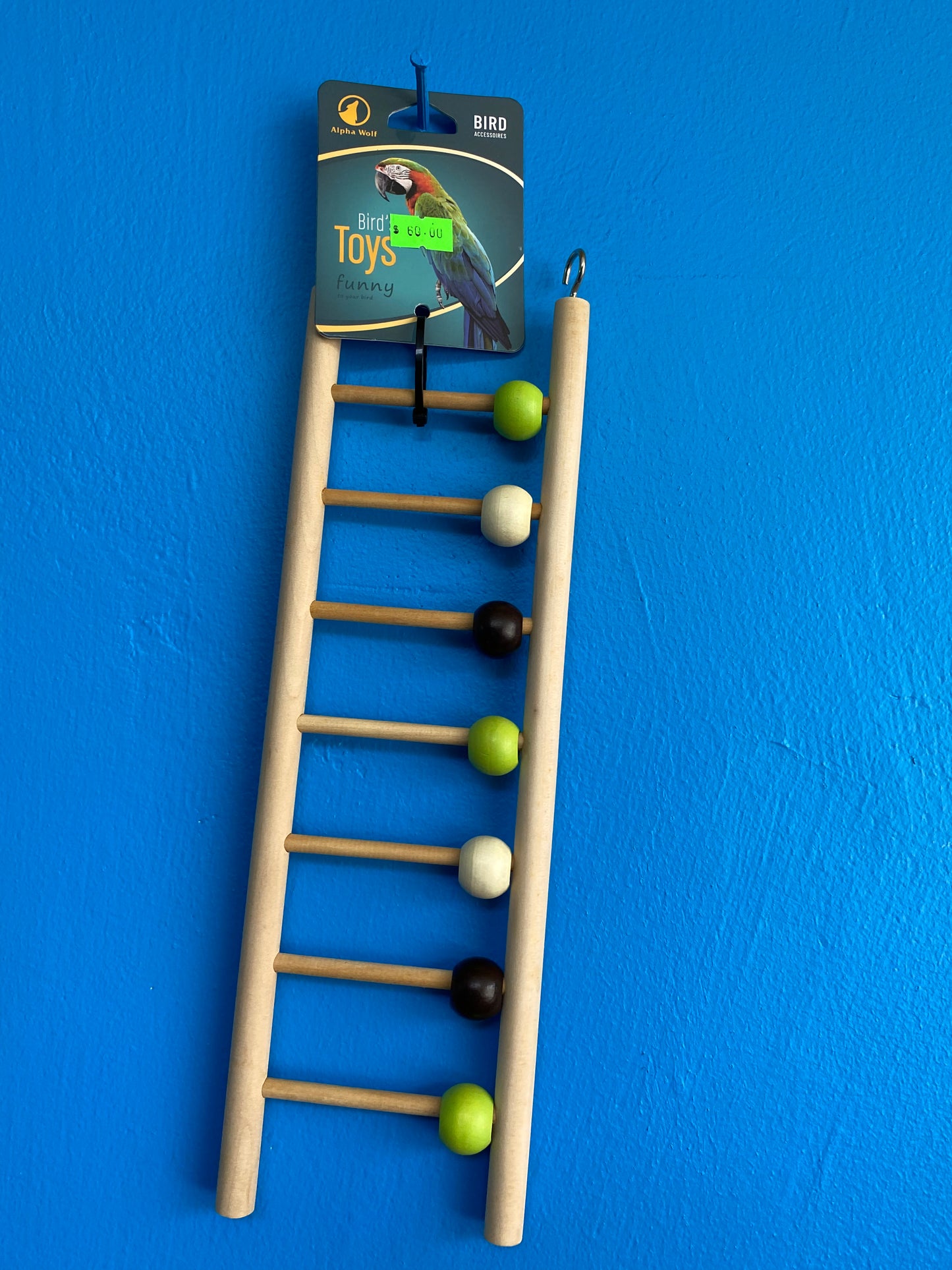 Long Parrot Ladder