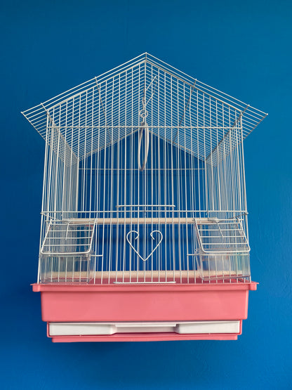 White Bird Cages with Color Base